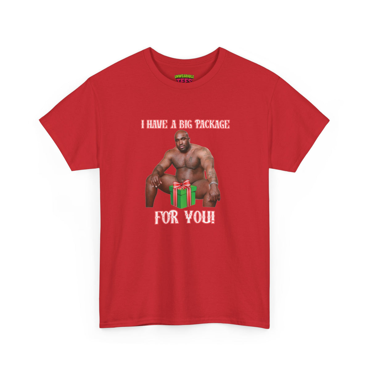 I Have a Big Package for You 2026 Inappropriate Christmas T-Shirt