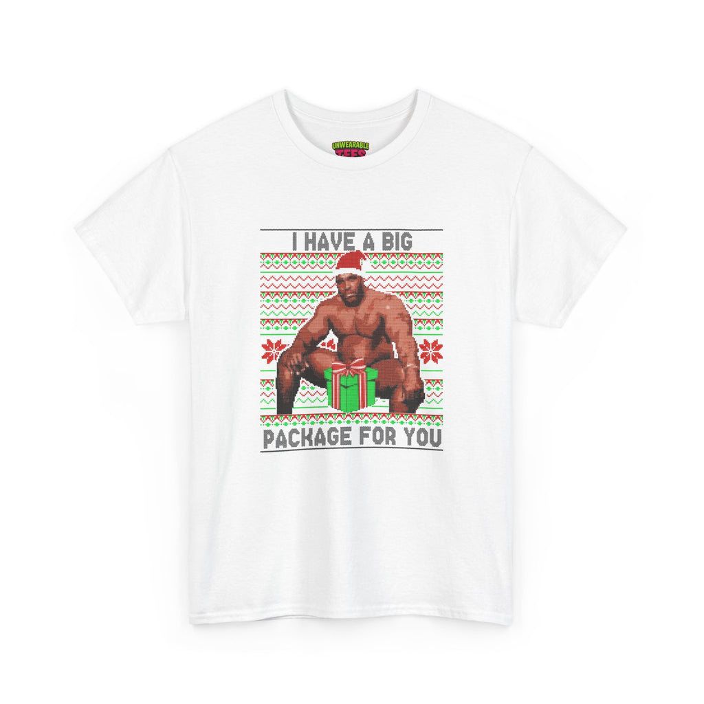 I Have a Big Package for You Inappropriate Christmas T-Shirt