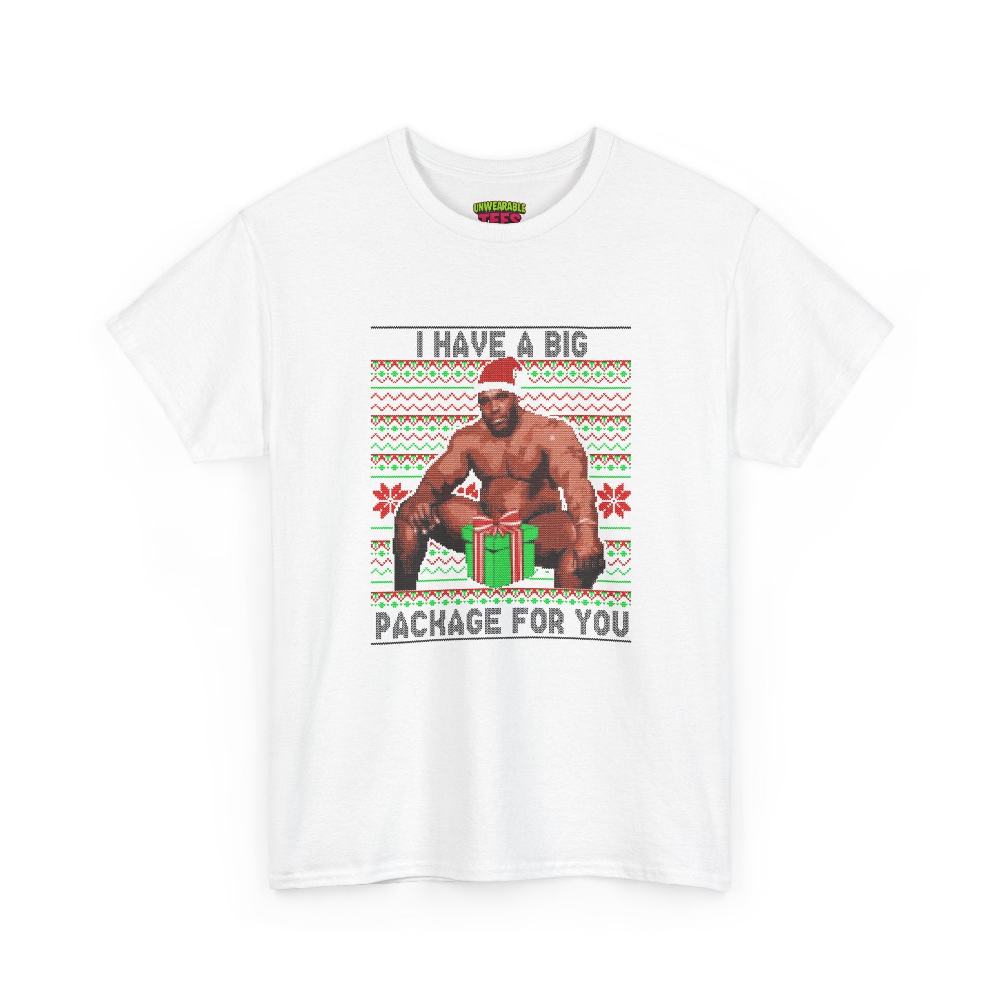 I Have a Big Package for You Inappropriate Christmas T-Shirt