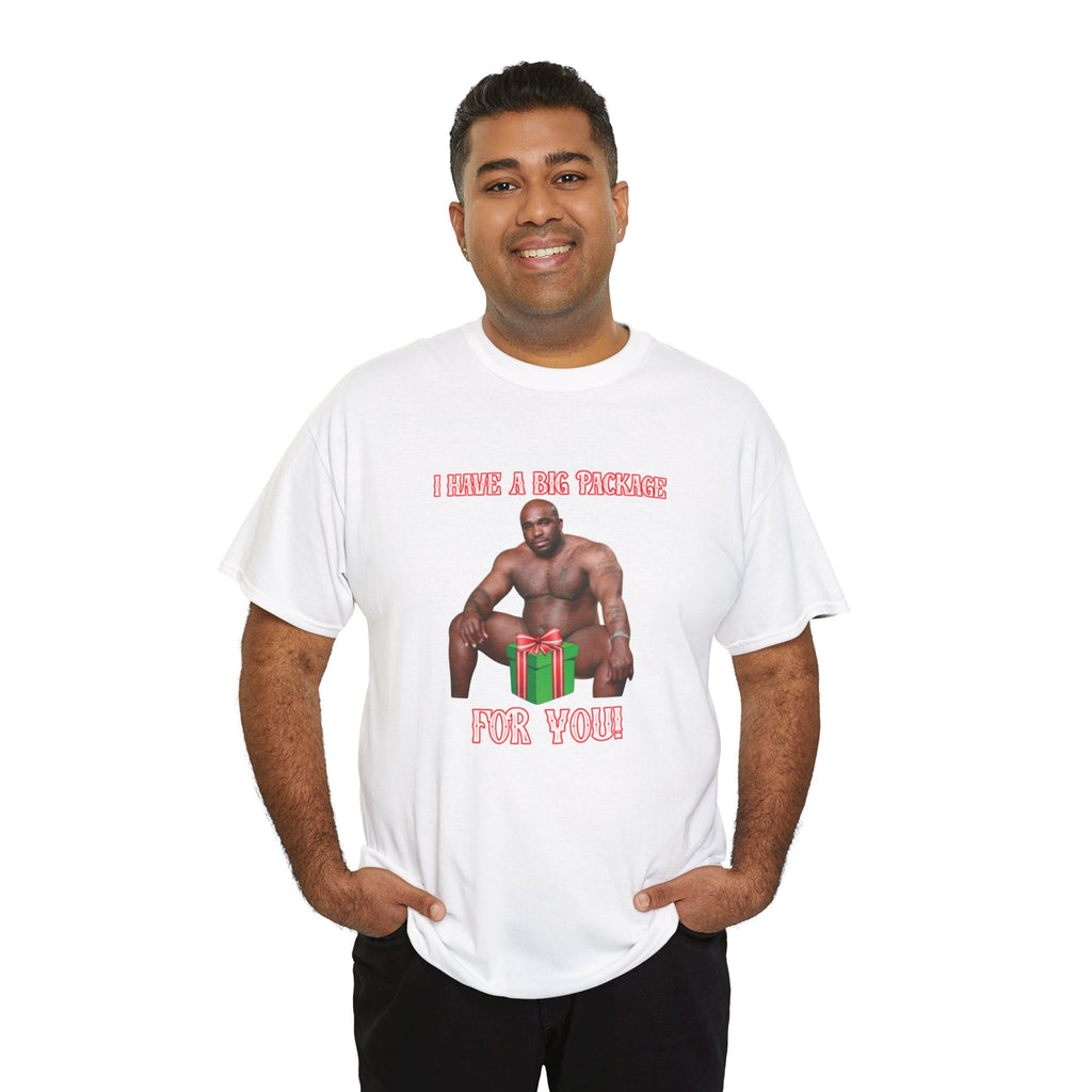 I Have a Big Package for You 2026 Inappropriate Christmas T-Shirt