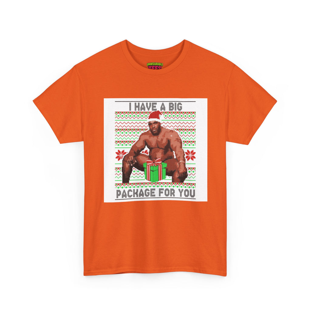 I Have a Big Package for You Inappropriate Christmas T-Shirt