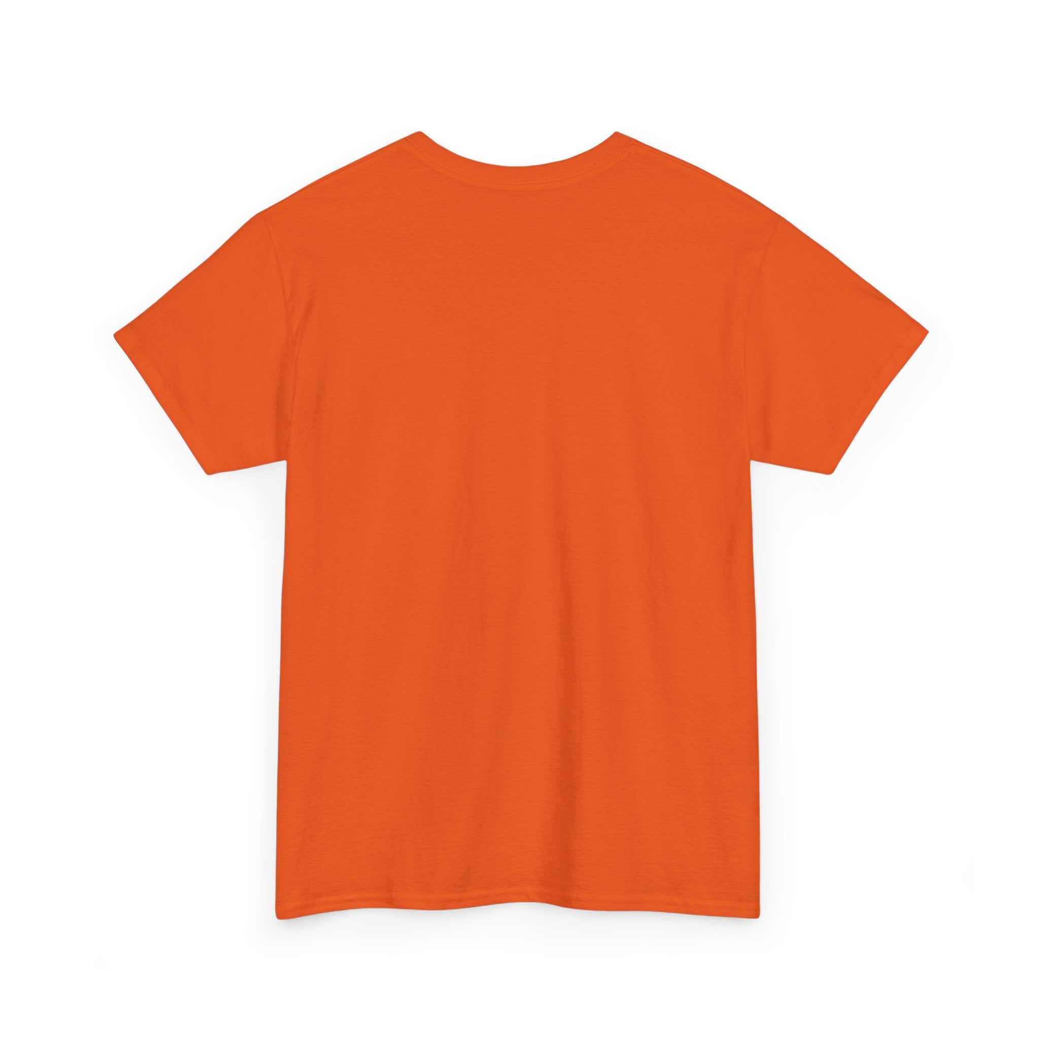 Today's Training Plan T-Shirt