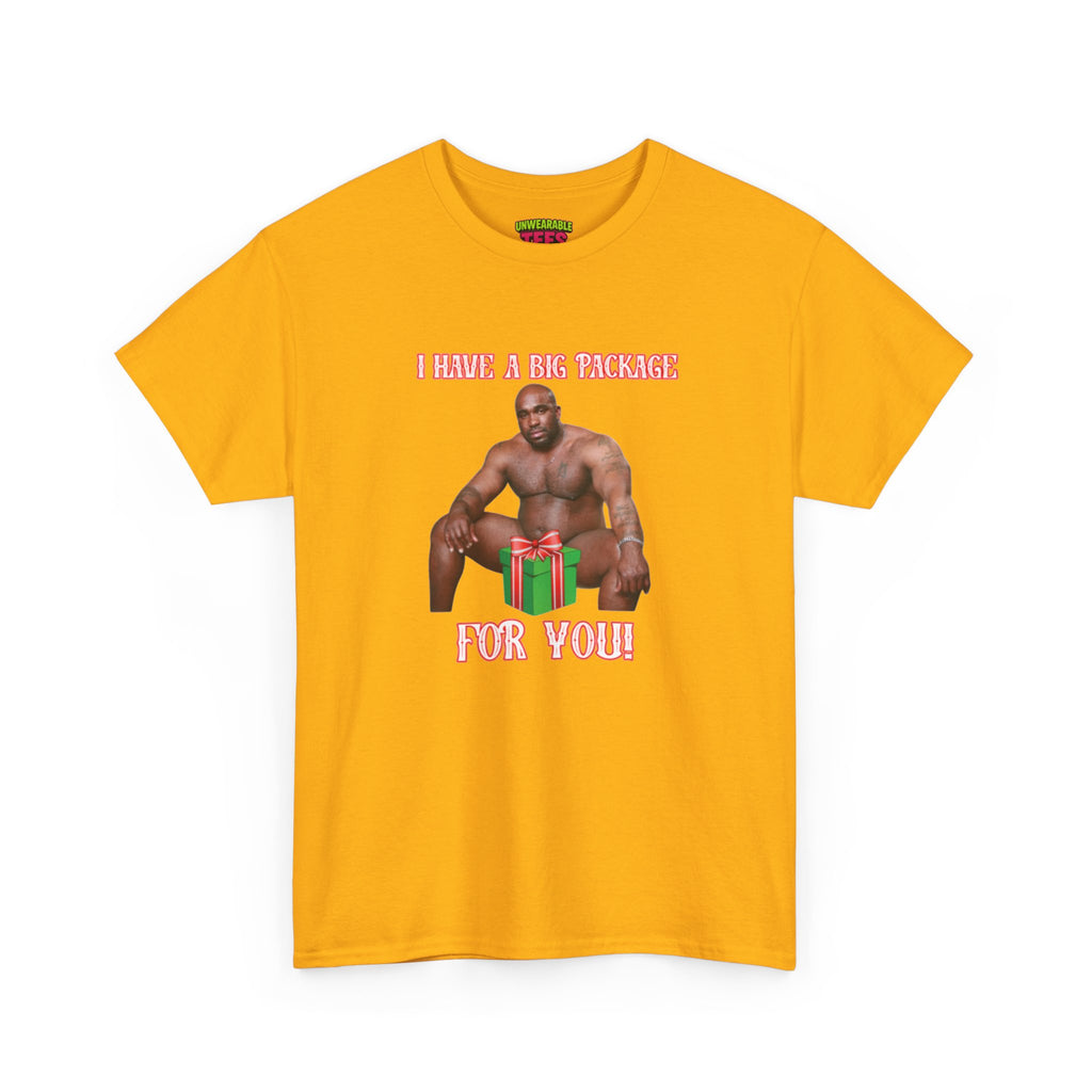 I Have a Big Package for You 2026 Inappropriate Christmas T-Shirt