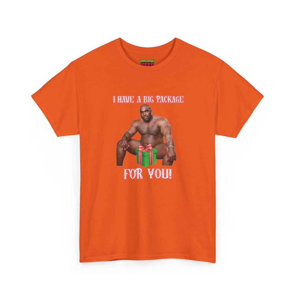 I Have a Big Package for You 2026 Inappropriate Christmas T-Shirt