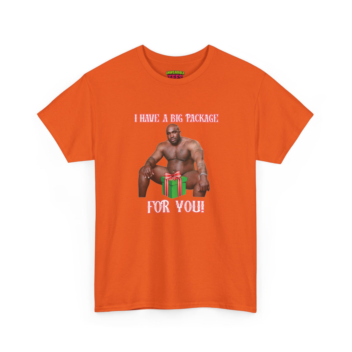 I Have a Big Package for You 2026 Inappropriate Christmas T-Shirt