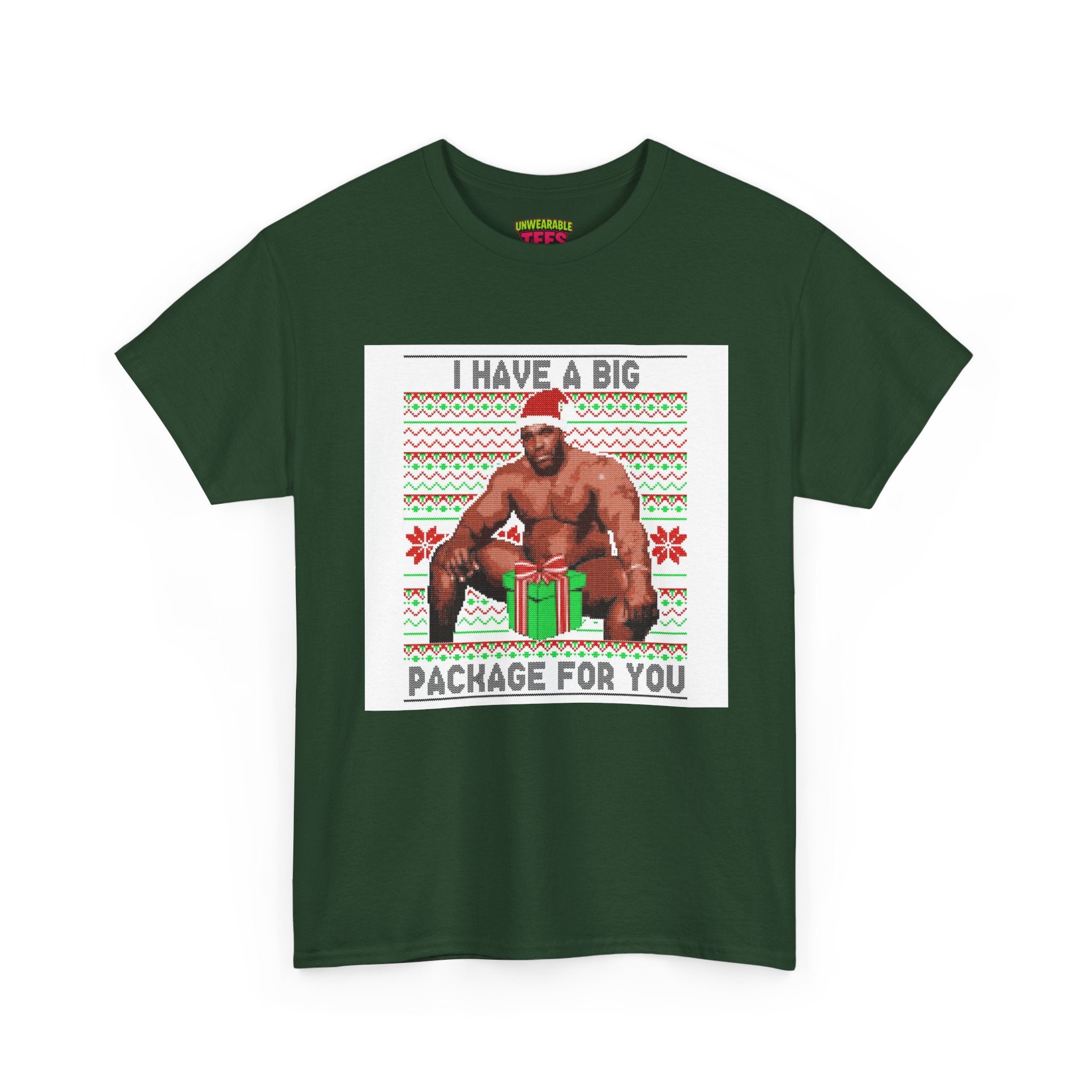 I Have a Big Package for You Inappropriate Christmas T-Shirt