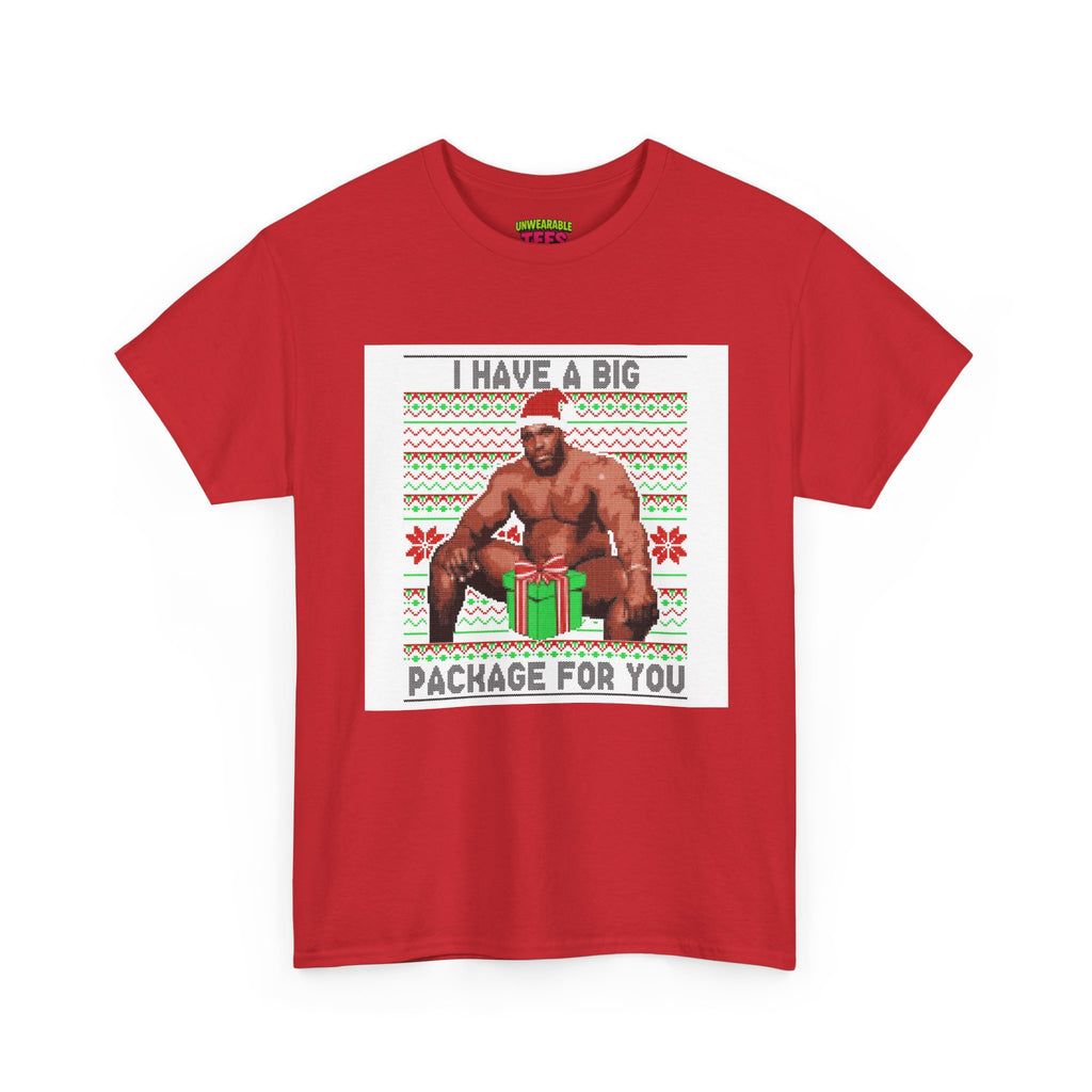 I Have a Big Package for You Inappropriate Christmas T-Shirt