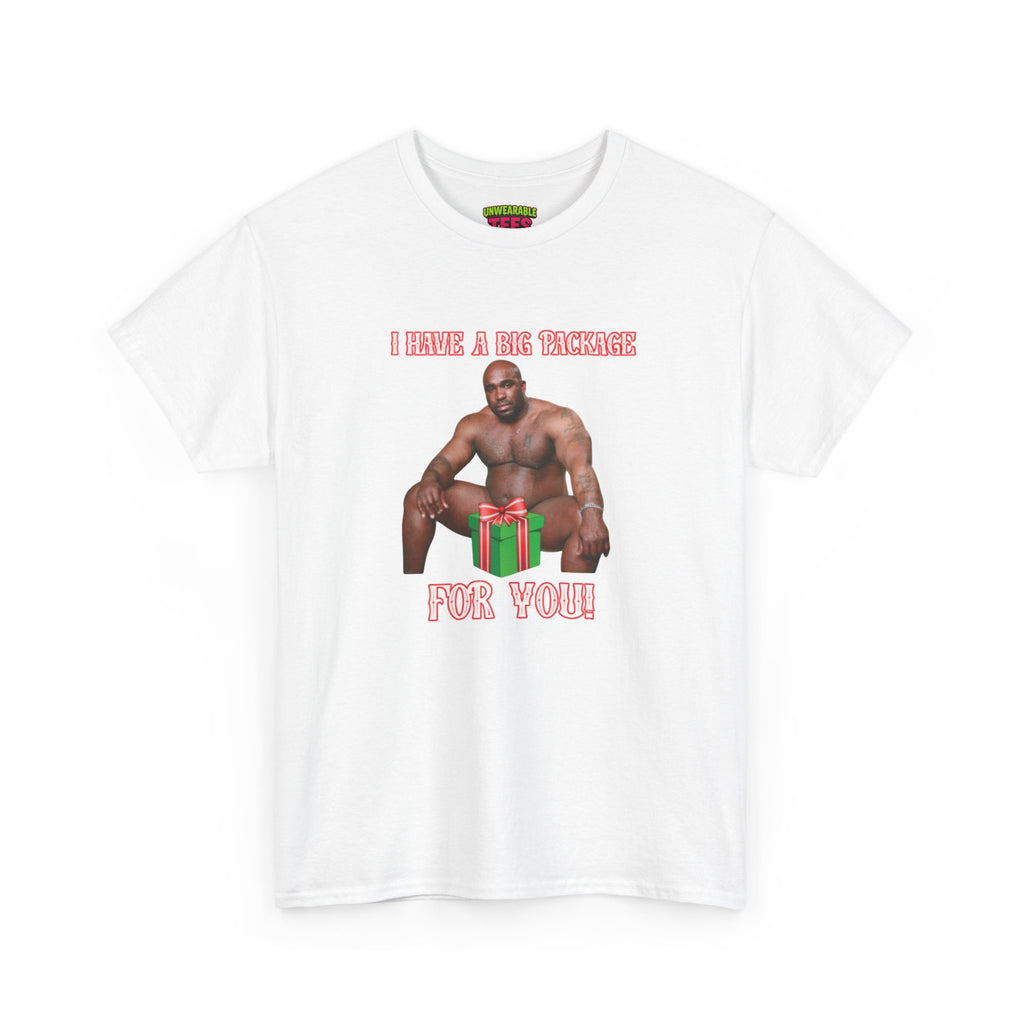 I Have a Big Package for You 2026 Inappropriate Christmas T-Shirt