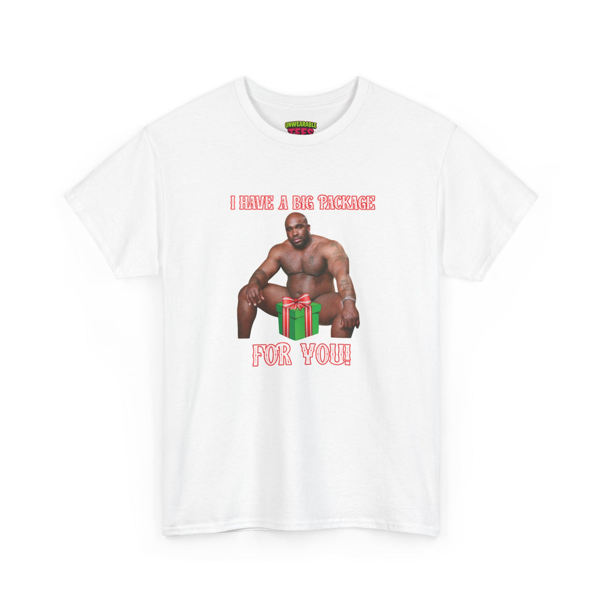 I Have a Big Package for You 2026 Inappropriate Christmas T-Shirt