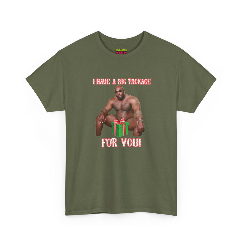 I Have a Big Package for You 2026 Inappropriate Christmas T-Shirt