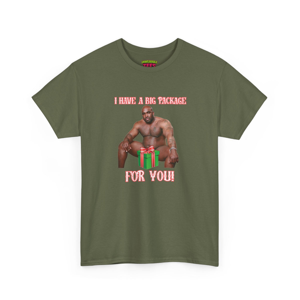 I Have a Big Package for You 2026 Inappropriate Christmas T-Shirt