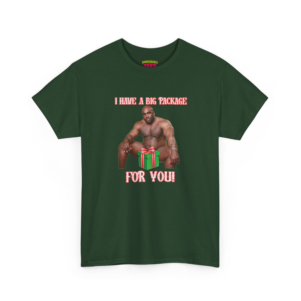 I Have a Big Package for You 2026 Inappropriate Christmas T-Shirt