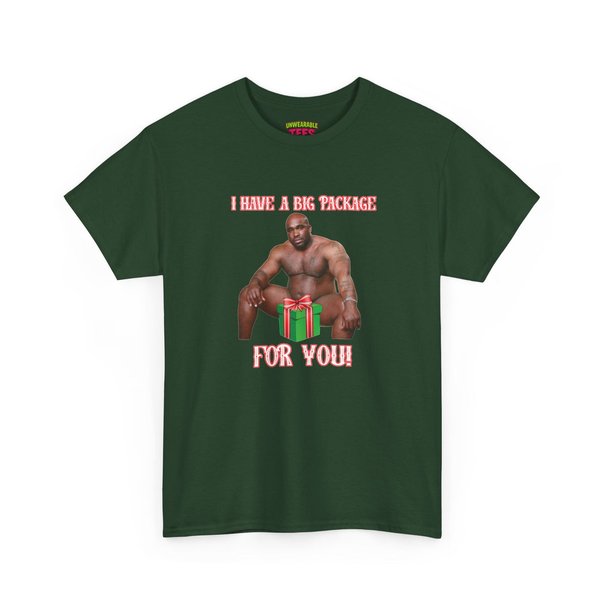 I Have a Big Package for You 2026 Inappropriate Christmas T-Shirt