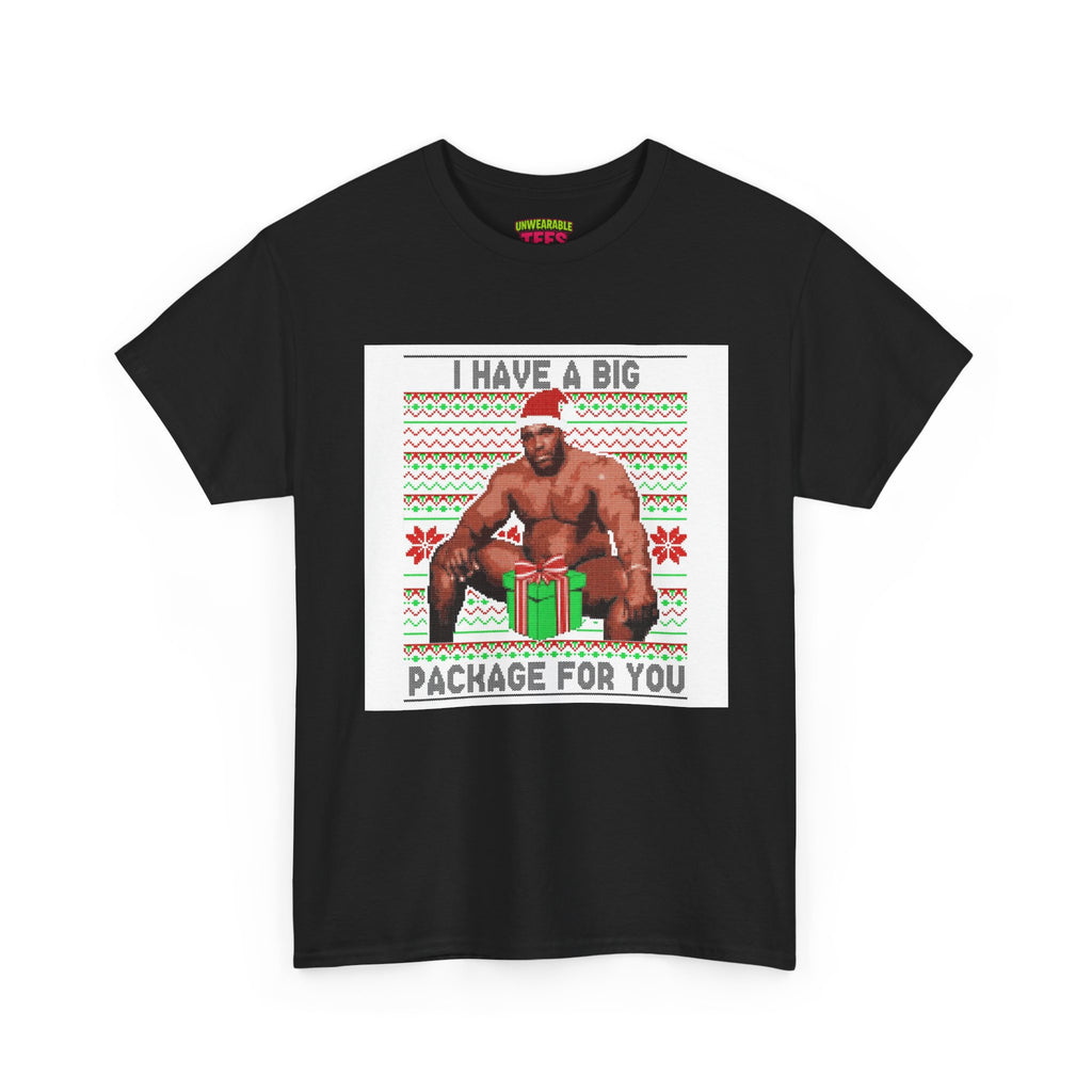 I Have a Big Package for You Inappropriate Christmas T-Shirt