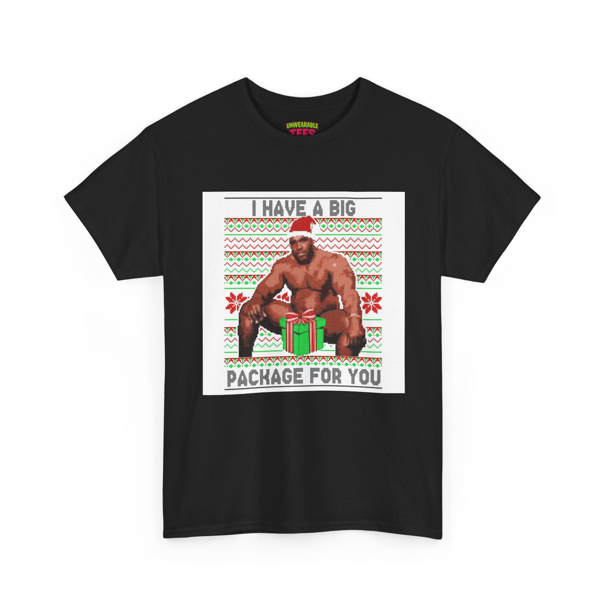 I Have a Big Package for You Inappropriate Christmas T-Shirt