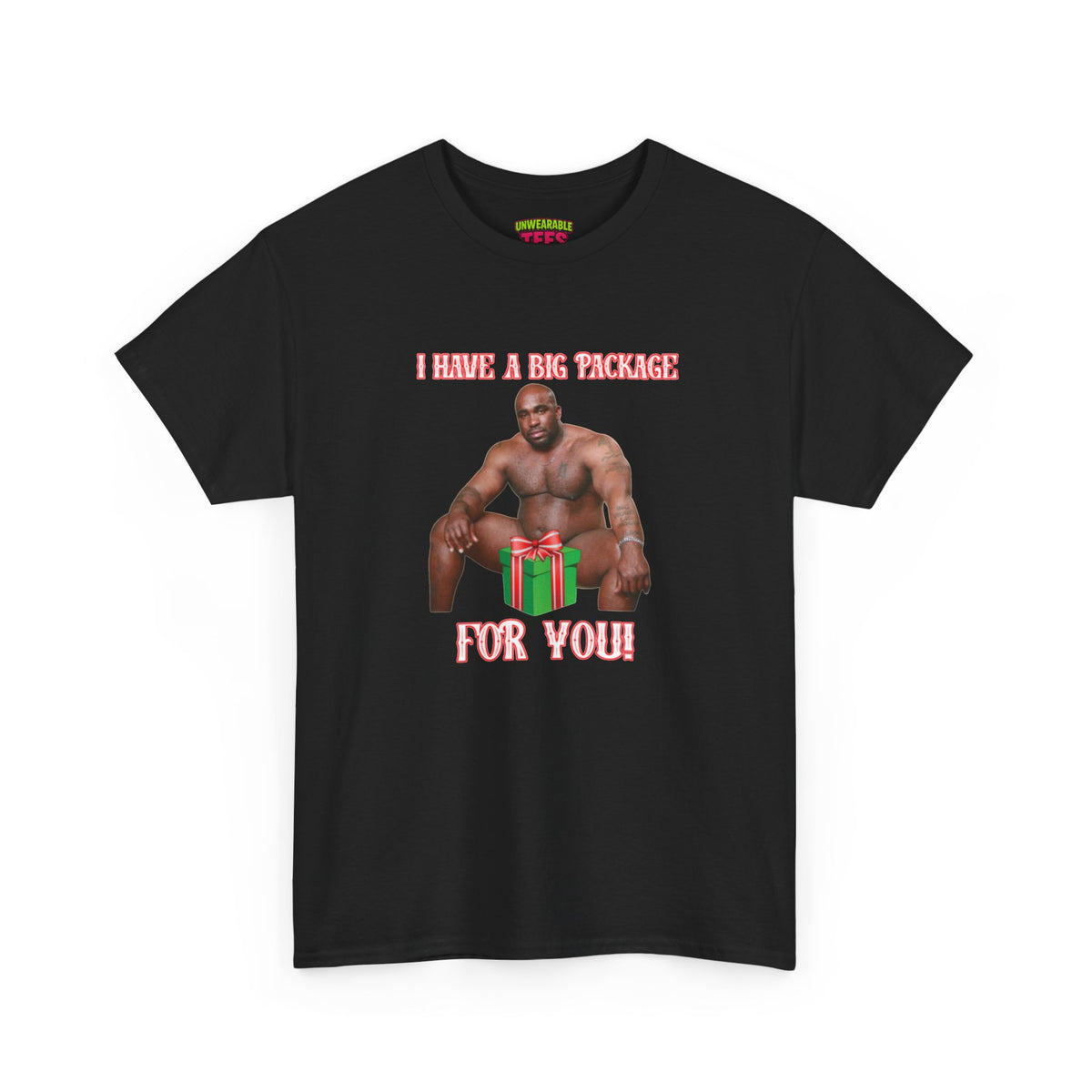 I Have a Big Package for You 2026 Inappropriate Christmas T-Shirt