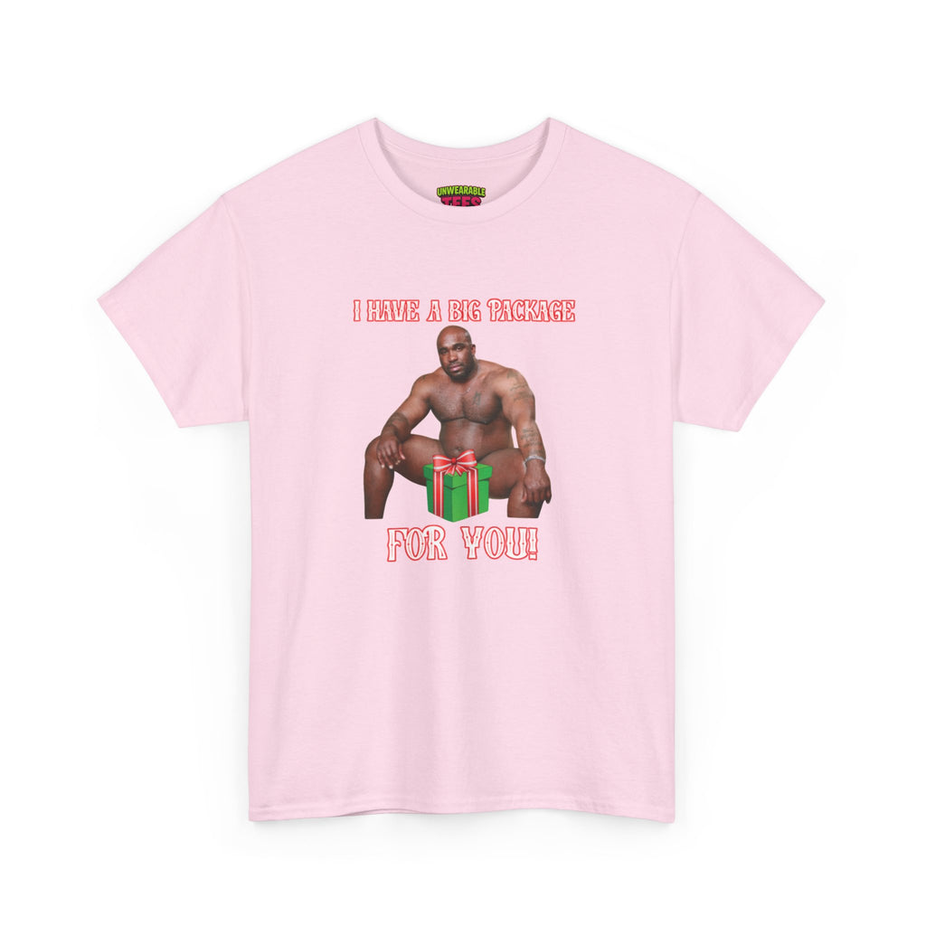 I Have a Big Package for You 2026 Inappropriate Christmas T-Shirt