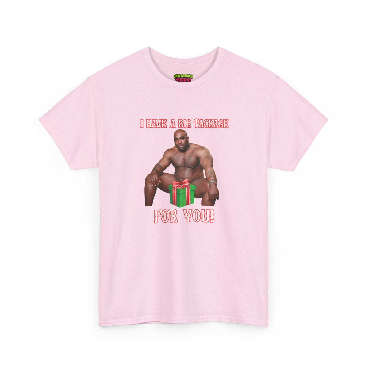 I Have a Big Package for You 2026 Inappropriate Christmas T-Shirt