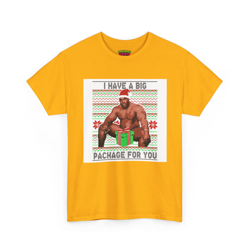 I Have a Big Package for You Inappropriate Christmas T-Shirt