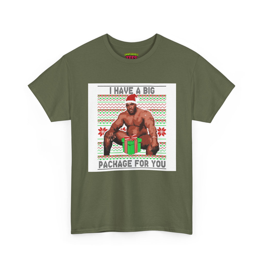 I Have a Big Package for You Inappropriate Christmas T-Shirt