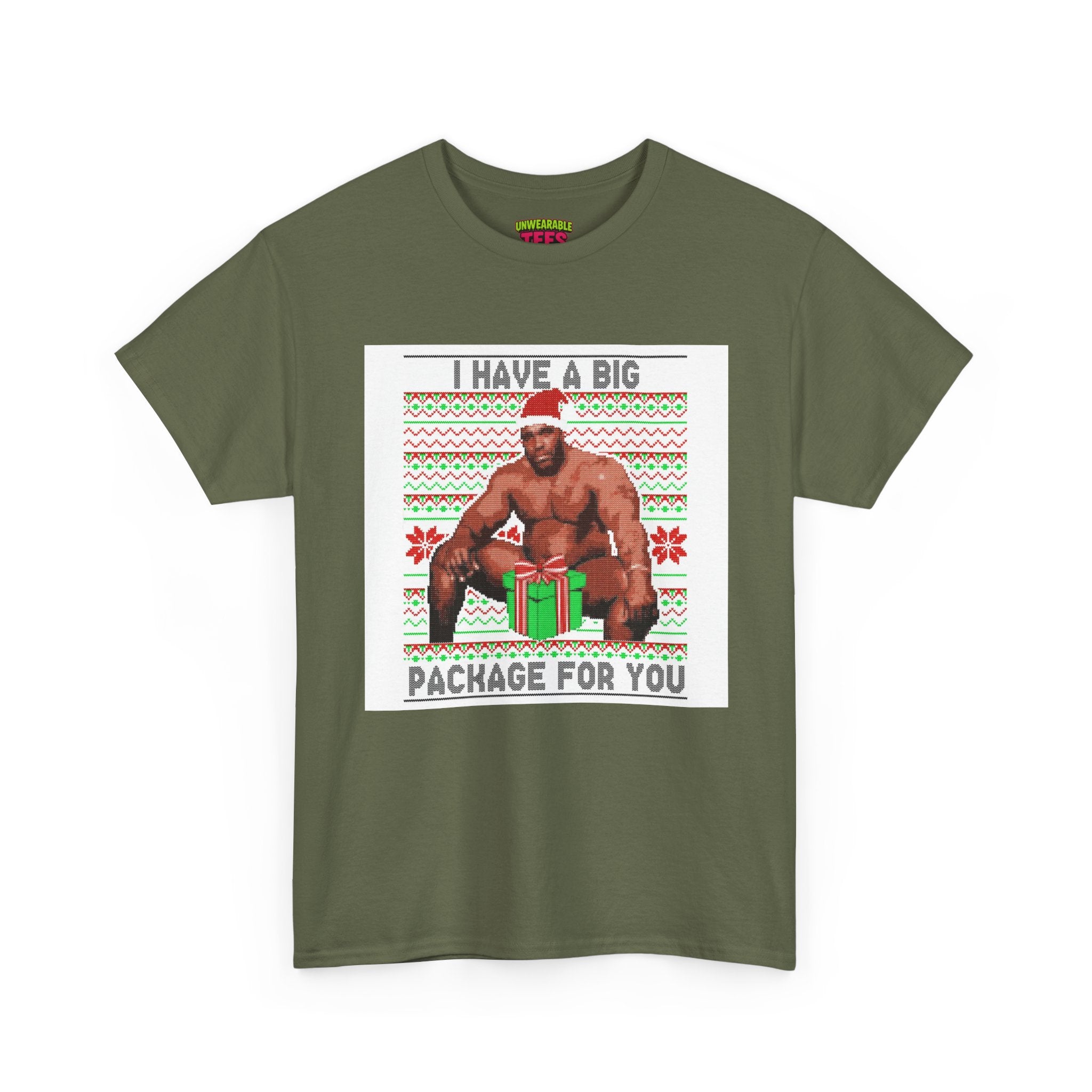 I Have a Big Package for You Inappropriate Christmas T-Shirt