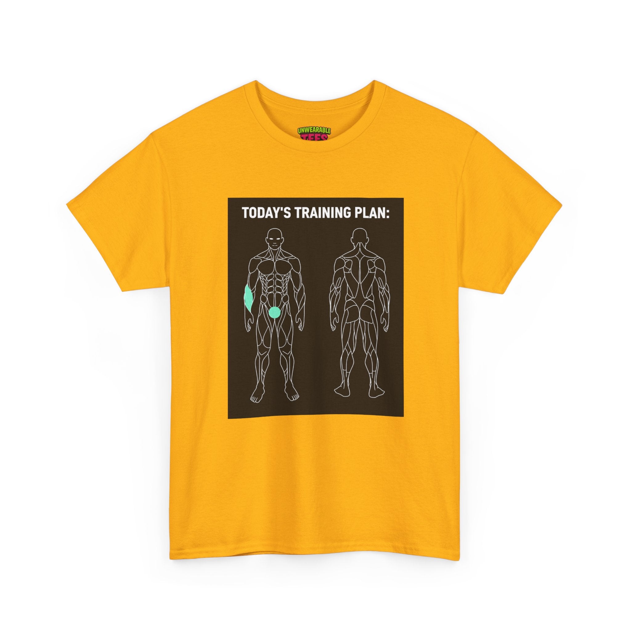Today's Training Plan T-Shirt